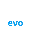 game provider