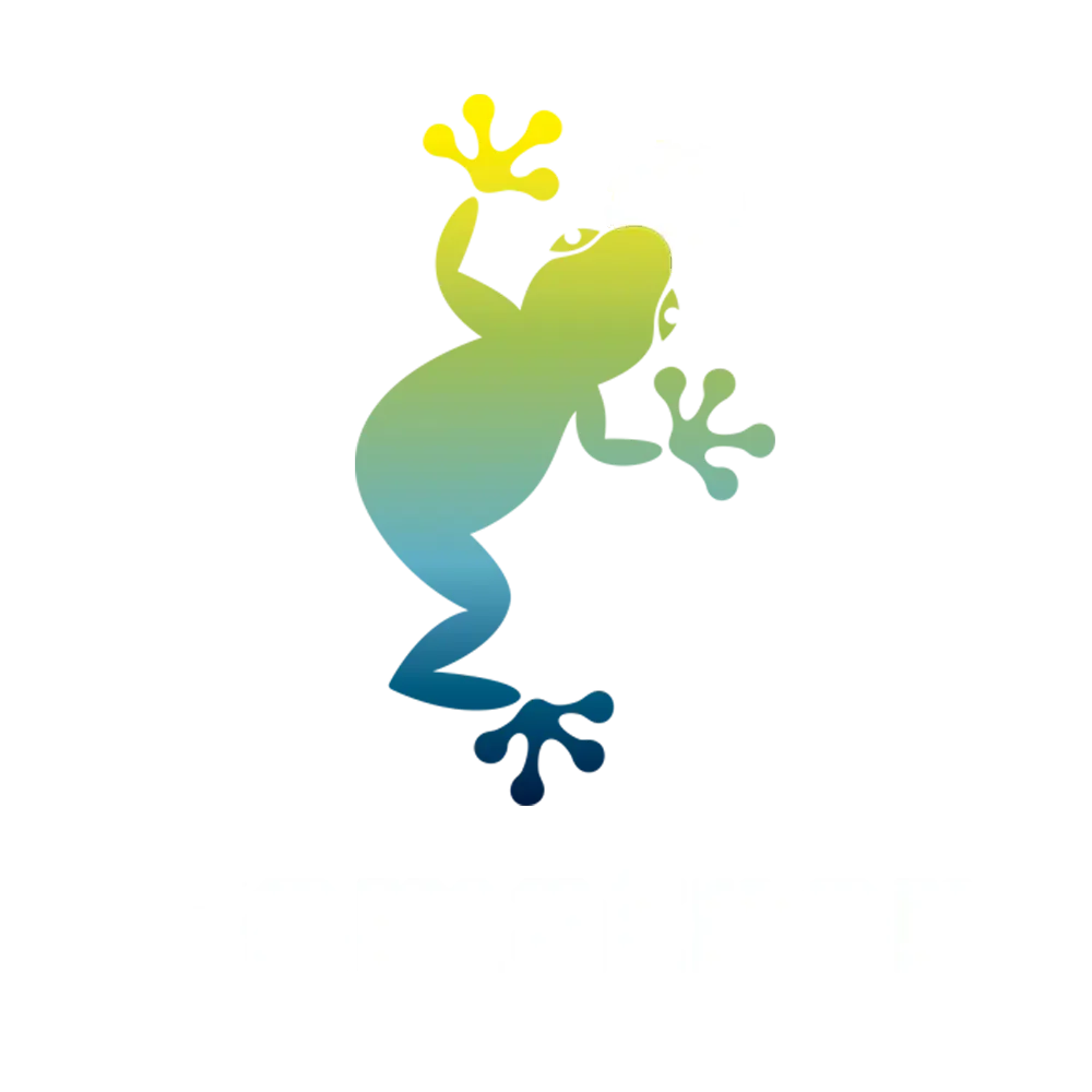 game provider